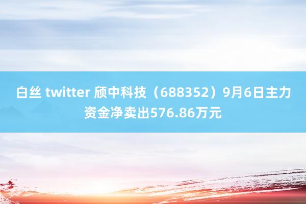 白丝 twitter 颀中科技（688352）9月6日主力资金净卖出576.86万元