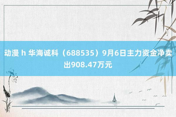 动漫 h 华海诚科（688535）9月6日主力资金净卖出908.47万元