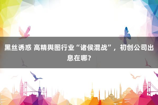 黑丝诱惑 高精舆图行业“诸侯混战”，初创公司出息在哪？