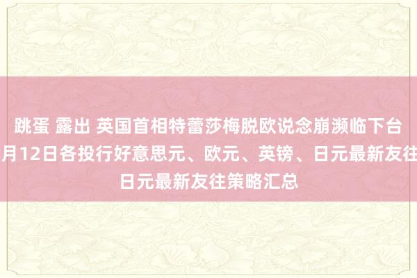 跳蛋 露出 英国首相特蕾莎梅脱欧说念崩濒临下台危境！12月12日各投行好意思元、欧元、英镑、日元最新友往策略汇总