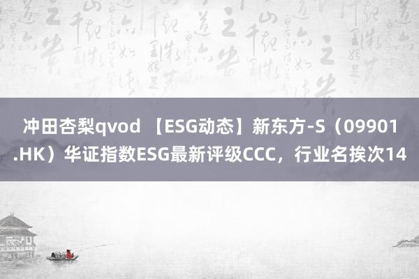 冲田杏梨qvod 【ESG动态】新东方-S（09901.HK）华证指数ESG最新评级CCC，行业名挨次14