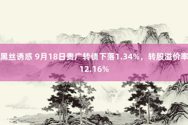 黑丝诱惑 9月18日贵广转债下落1.34%，转股溢价率12.16%