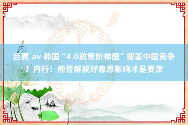 巨屌 av 韩国“4.0政策阶梯图”搪塞中国竞争？内行：能否解脱好意思影响才是要津