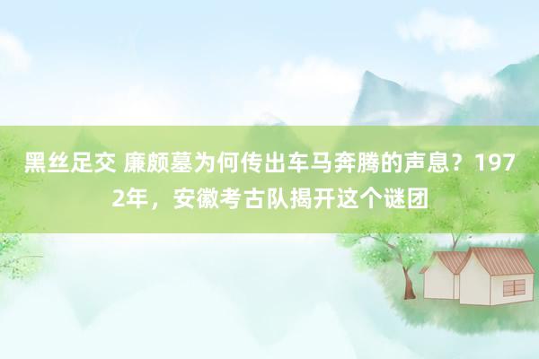 黑丝足交 廉颇墓为何传出车马奔腾的声息？1972年，安徽考古队揭开这个谜团