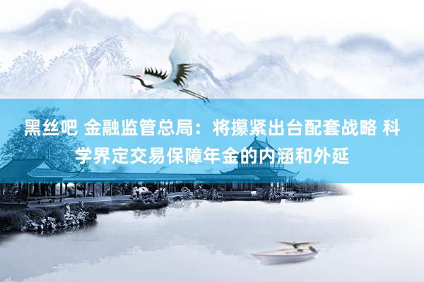 黑丝吧 金融监管总局：将攥紧出台配套战略 科学界定交易保障年金的内涵和外延