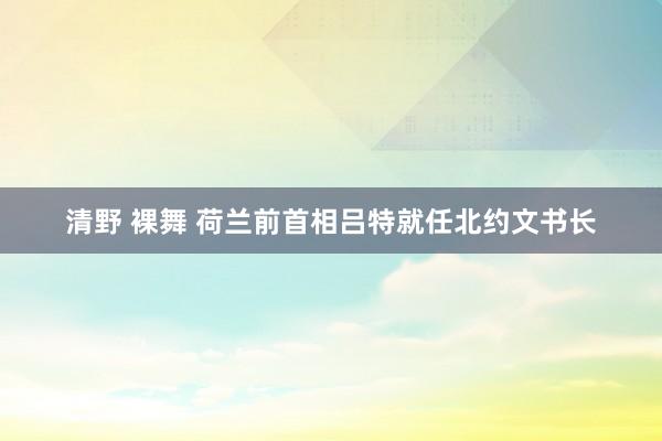 清野 裸舞 荷兰前首相吕特就任北约文书长