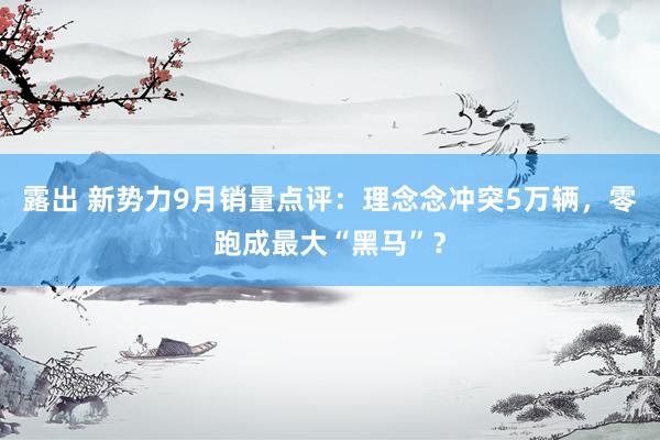 露出 新势力9月销量点评：理念念冲突5万辆，零跑成最大“黑马”？