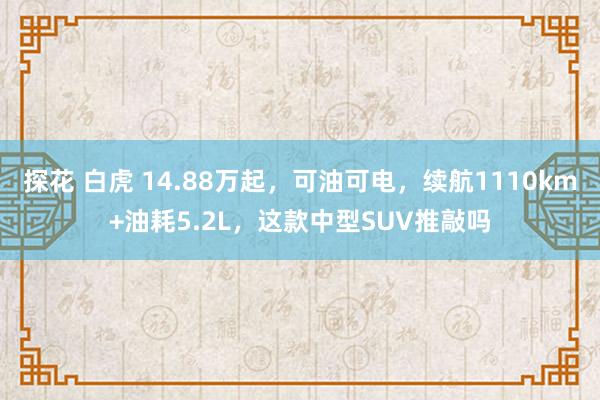 探花 白虎 14.88万起，可油可电，续航1110km+油耗5.2L，这款中型SUV推敲吗