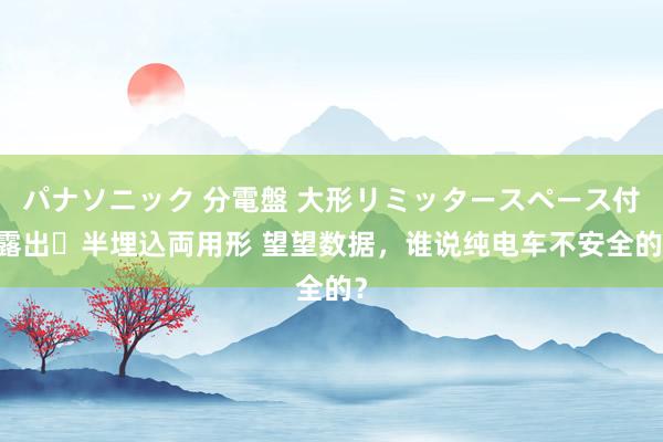 パナソニック 分電盤 大形リミッタースペース付 露出・半埋込両用形 望望数据，谁说纯电车不安全的？