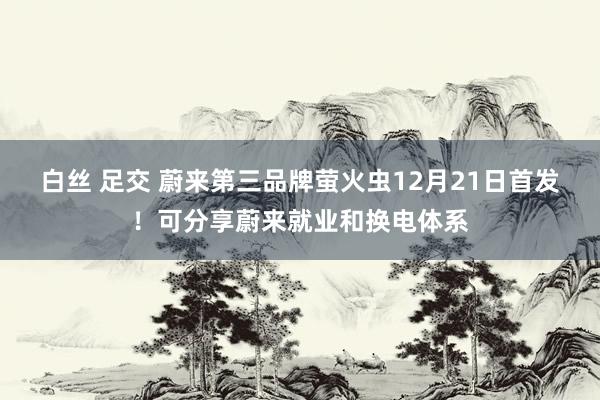 白丝 足交 蔚来第三品牌萤火虫12月21日首发！可分享蔚来就业和换电体系