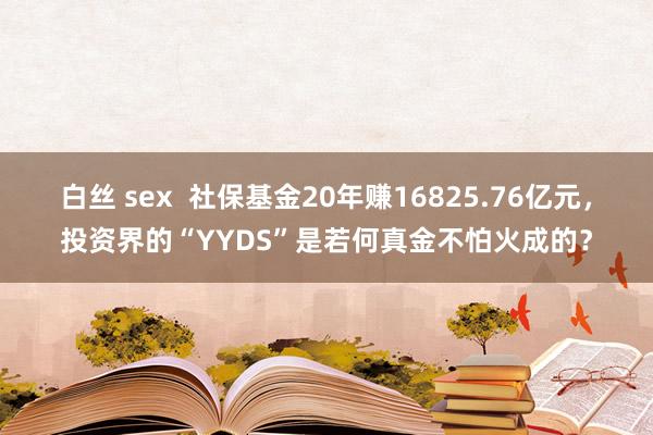 白丝 sex  社保基金20年赚16825.76亿元，投资界的“YYDS”是若何真金不怕火成的？