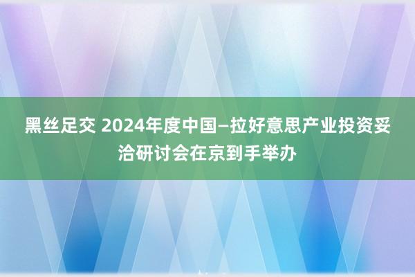 黑丝足交 2024年度中国—拉好意思产业投资妥洽研讨会在京到手举办