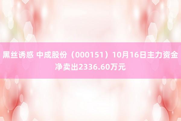 黑丝诱惑 中成股份（000151）10月16日主力资金净卖出2336.60万元