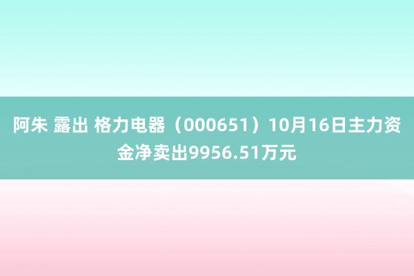 阿朱 露出 格力电器（000651）10月16日主力资金净卖出9956.51万元