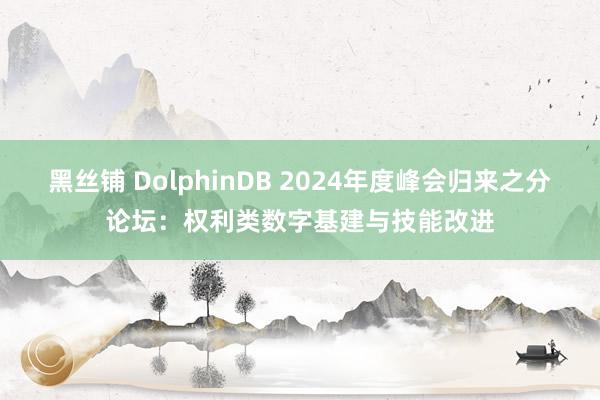 黑丝铺 DolphinDB 2024年度峰会归来之分论坛：权利类数字基建与技能改进