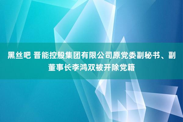 黑丝吧 晋能控股集团有限公司原党委副秘书、副董事长李鸿双被开除党籍