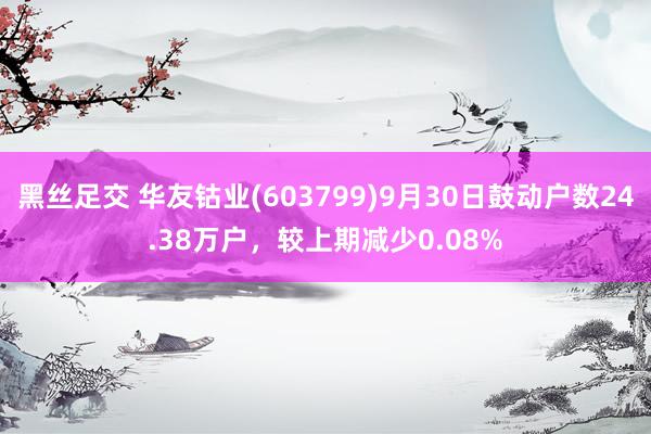 黑丝足交 华友钴业(603799)9月30日鼓动户数24.38万户，较上期减少0.08%