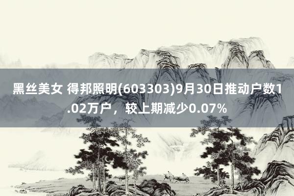 黑丝美女 得邦照明(603303)9月30日推动户数1.02万户，较上期减少0.07%