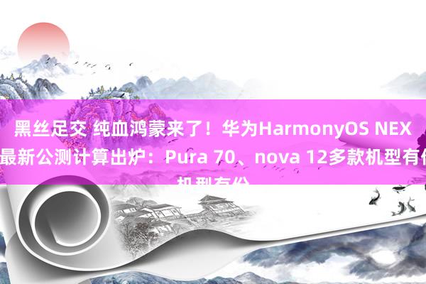 黑丝足交 纯血鸿蒙来了！华为HarmonyOS NEXT最新公测计算出炉：Pura 70、nova 12多款机型有份