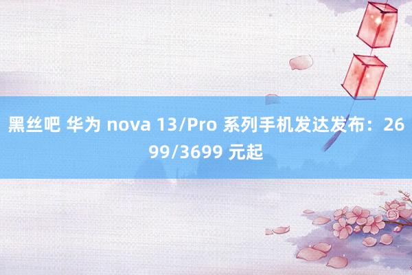 黑丝吧 华为 nova 13/Pro 系列手机发达发布：2699/3699 元起