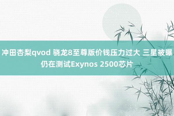 冲田杏梨qvod 骁龙8至尊版价钱压力过大 三星被曝仍在测试Exynos 2500芯片