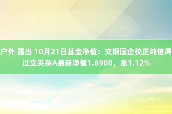 户外 露出 10月21日基金净值：交银国企校正纯信得过立夹杂A最新净值1.6908，涨1.12%