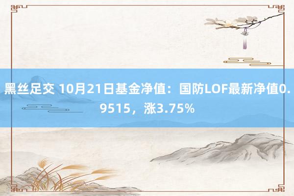 黑丝足交 10月21日基金净值：国防LOF最新净值0.9515，涨3.75%