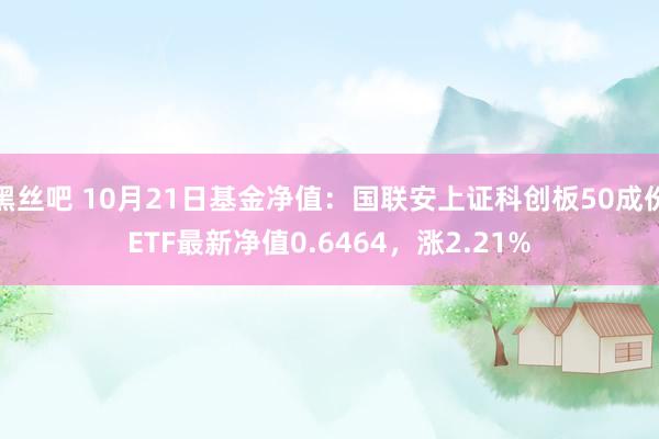 黑丝吧 10月21日基金净值：国联安上证科创板50成份ETF最新净值0.6464，涨2.21%