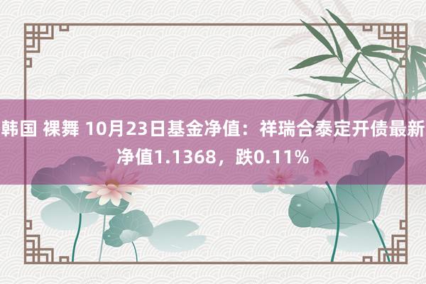 韩国 裸舞 10月23日基金净值：祥瑞合泰定开债最新净值1.1368，跌0.11%