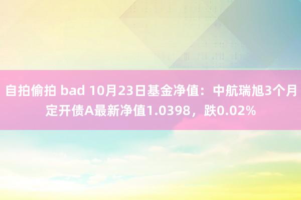 自拍偷拍 bad 10月23日基金净值：中航瑞旭3个月定开债A最新净值1.0398，跌0.02%