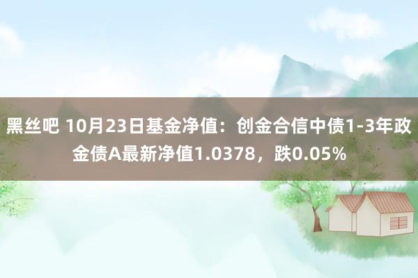 黑丝吧 10月23日基金净值：创金合信中债1-3年政金债A最新净值1.0378，跌0.05%