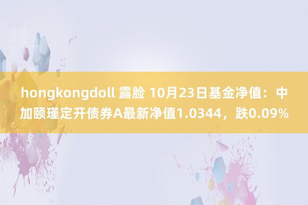 hongkongdoll 露脸 10月23日基金净值：中加颐瑾定开债券A最新净值1.0344，跌0.09%