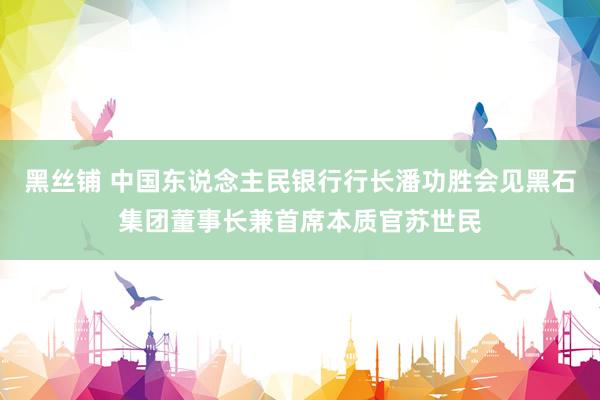 黑丝铺 中国东说念主民银行行长潘功胜会见黑石集团董事长兼首席本质官苏世民