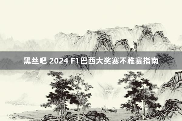 黑丝吧 2024 F1巴西大奖赛不雅赛指南