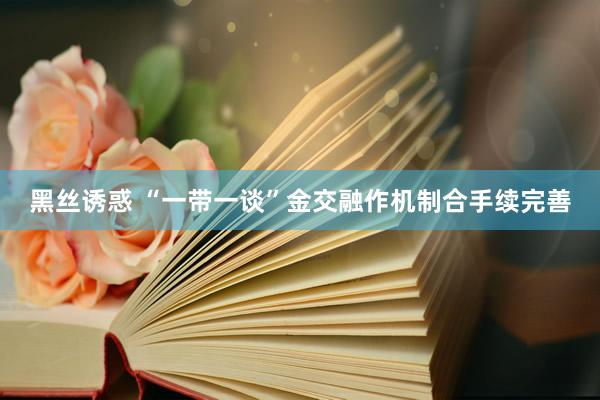 黑丝诱惑 “一带一谈”金交融作机制合手续完善