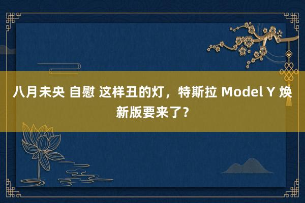 八月未央 自慰 这样丑的灯，特斯拉 Model Y 焕新版要来了？