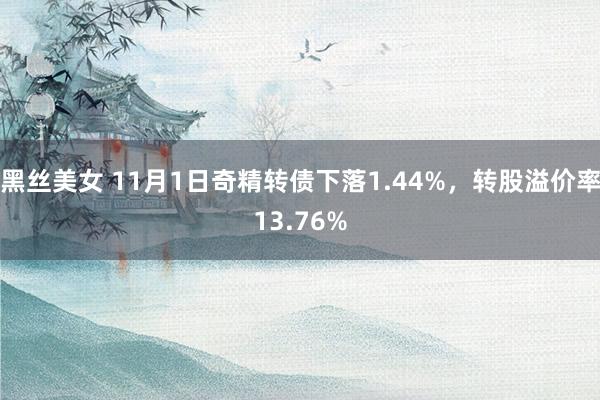 黑丝美女 11月1日奇精转债下落1.44%，转股溢价率13.76%