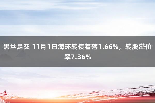 黑丝足交 11月1日海环转债着落1.66%，转股溢价率7.36%