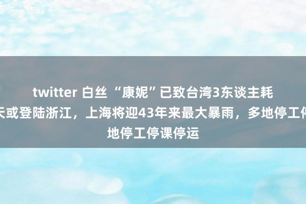 twitter 白丝 “康妮”已致台湾3东谈主耗费，今天或登陆浙江，上海将迎43年来最大暴雨，多地停工停课停运