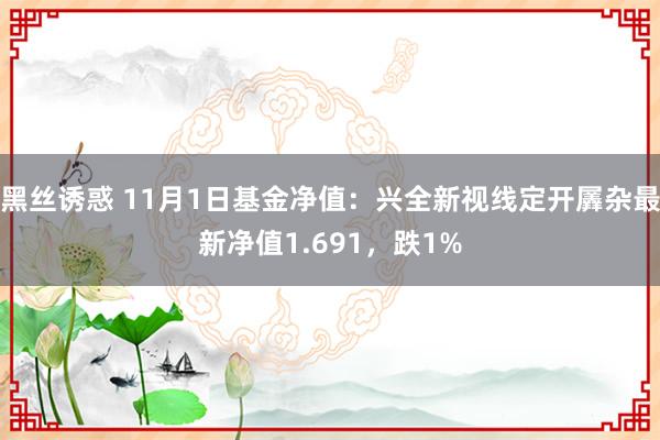 黑丝诱惑 11月1日基金净值：兴全新视线定开羼杂最新净值1.691，跌1%