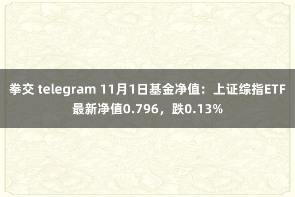 拳交 telegram 11月1日基金净值：上证综指ETF最新净值0.796，跌0.13%