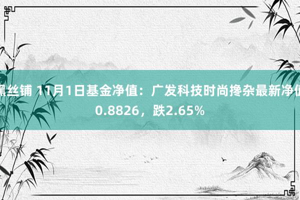 黑丝铺 11月1日基金净值：广发科技时尚搀杂最新净值0.8826，跌2.65%