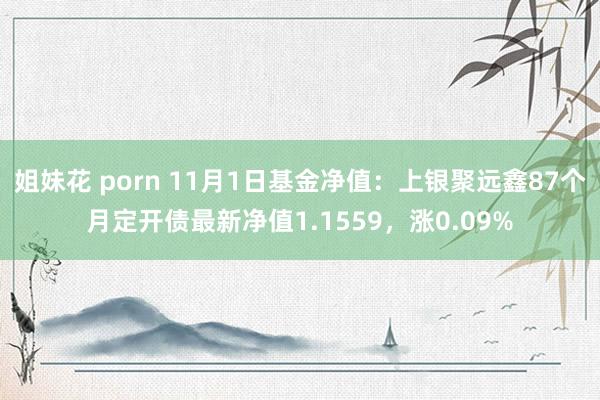 姐妹花 porn 11月1日基金净值：上银聚远鑫87个月定开债最新净值1.1559，涨0.09%