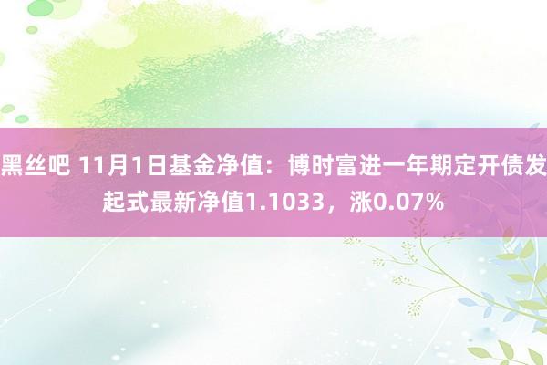 黑丝吧 11月1日基金净值：博时富进一年期定开债发起式最新净值1.1033，涨0.07%