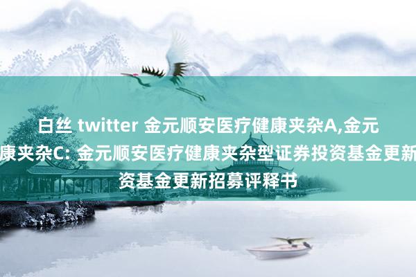 白丝 twitter 金元顺安医疗健康夹杂A，金元顺安医疗健康夹杂C: 金元顺安医疗健康夹杂型证券投资基金更新招募评释书