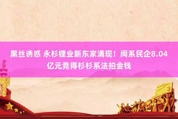 黑丝诱惑 永杉锂业新东家涌现！闽系民企8.04亿元竞得杉杉系法拍金钱