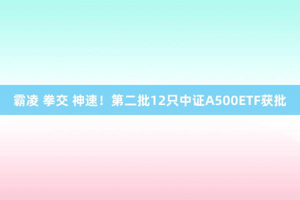 霸凌 拳交 神速！第二批12只中证A500ETF获批