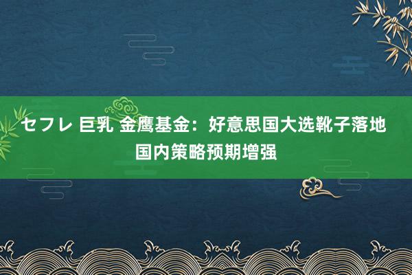 セフレ 巨乳 金鹰基金：好意思国大选靴子落地 国内策略预期增强