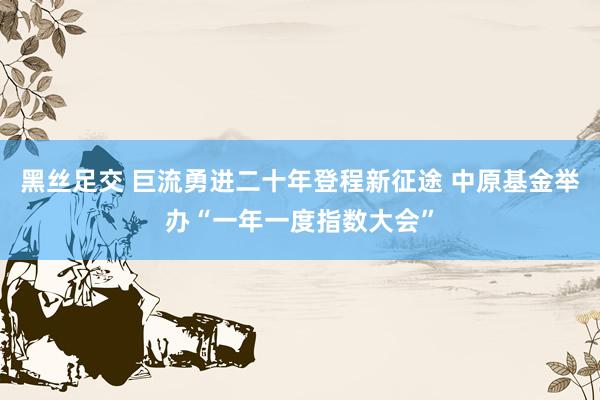 黑丝足交 巨流勇进二十年登程新征途 中原基金举办“一年一度指数大会”