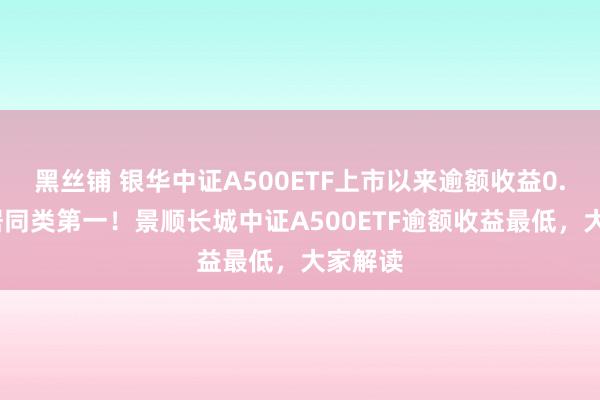 黑丝铺 银华中证A500ETF上市以来逾额收益0.2%位居同类第一！景顺长城中证A500ETF逾额收益最低，大家解读